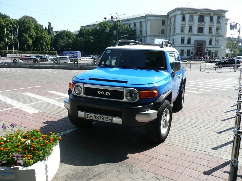 P1020445-L.jpg