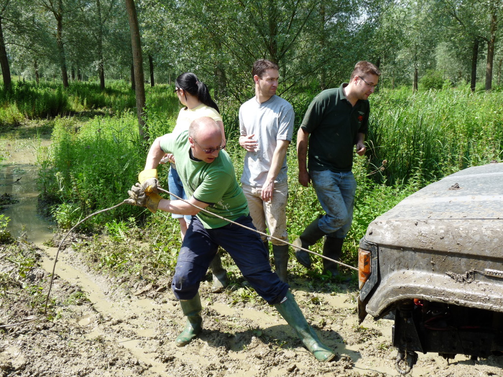 P1030286.jpg