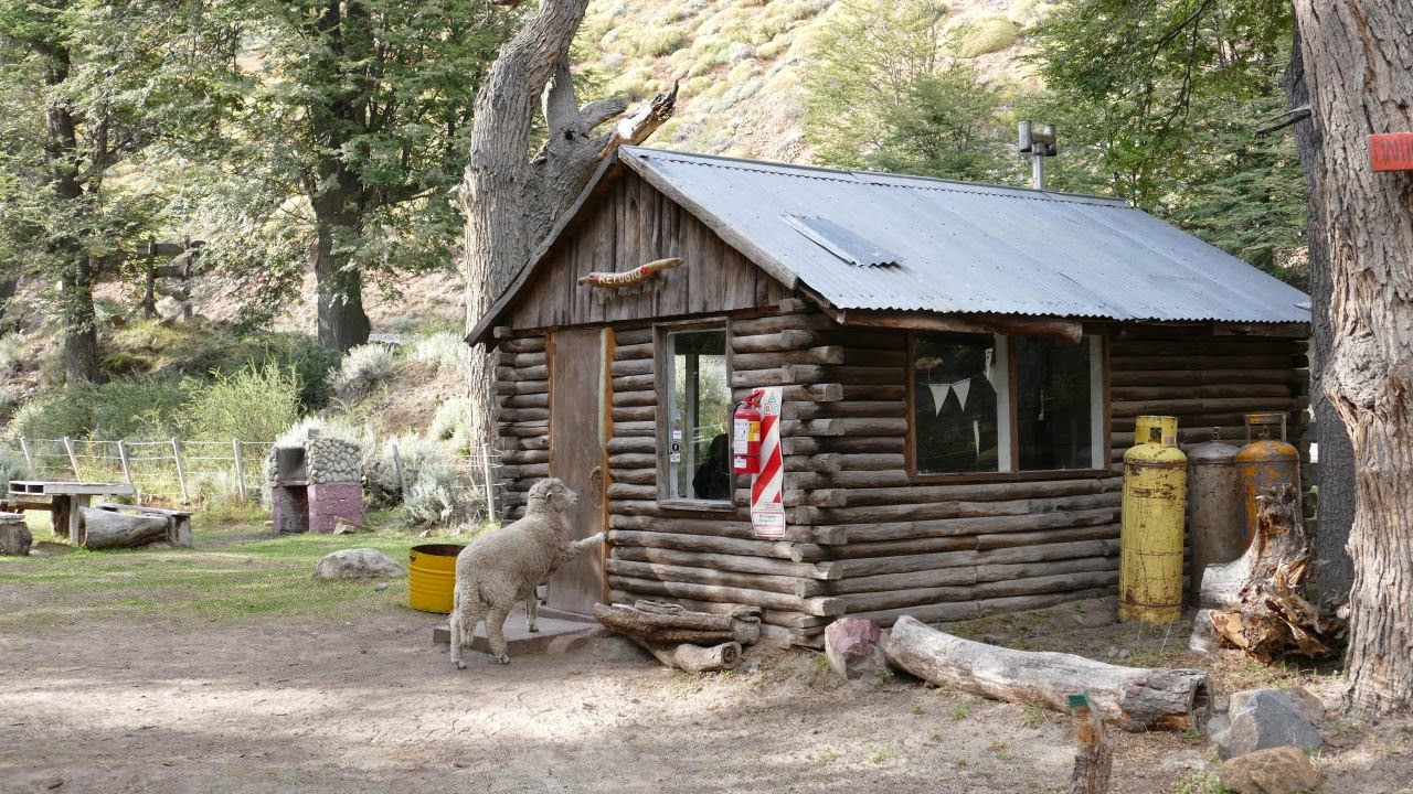 P1050299.JPG