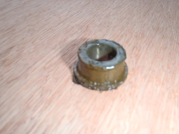 P3100022.jpg