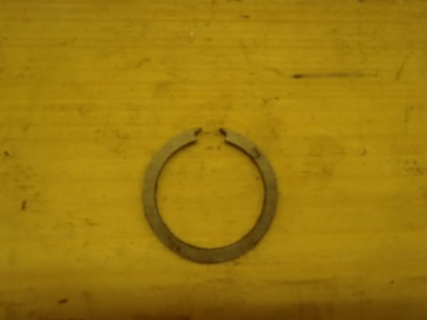 P3100067.jpg