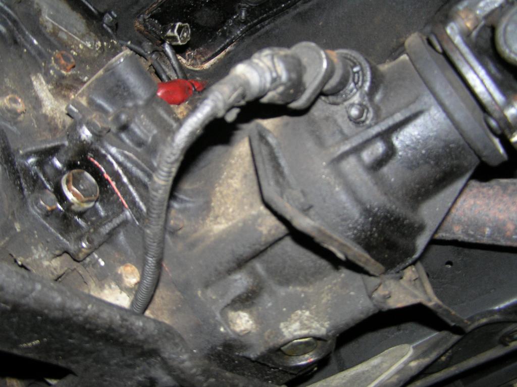 P4100069_zps43046c98.jpg