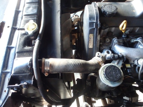 P5120033_zps0be631bc.jpg