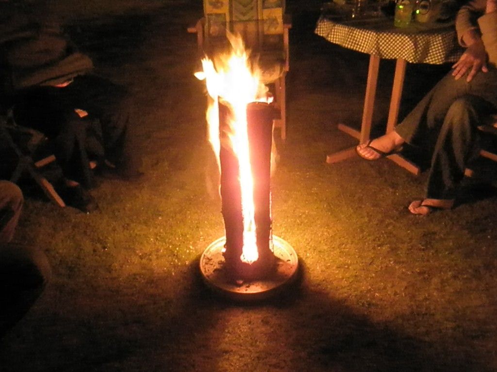 P8130195_zps7b1ae58c.jpg