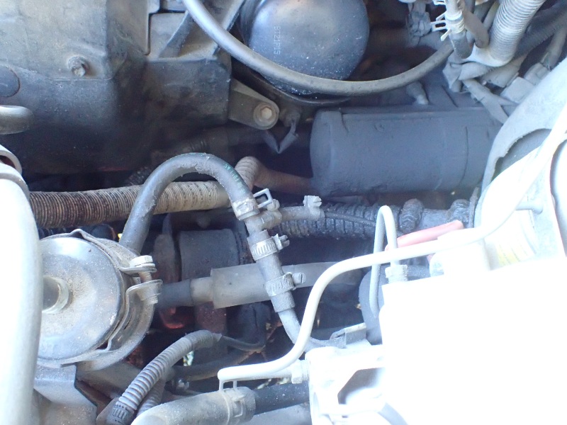 p9150675-s-jpg.149494.jpg