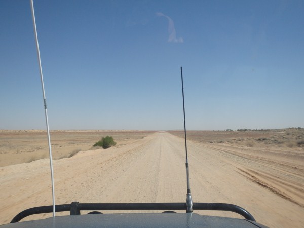 P9240459_zpsad933460.jpg