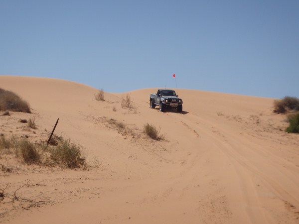 P9240483_zps0eb38015.jpg