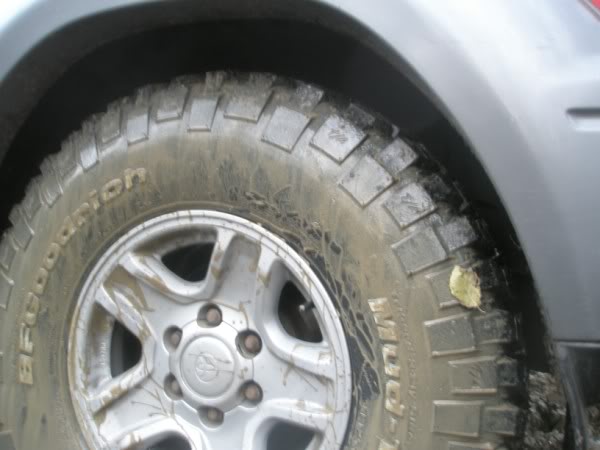PA290773.jpg