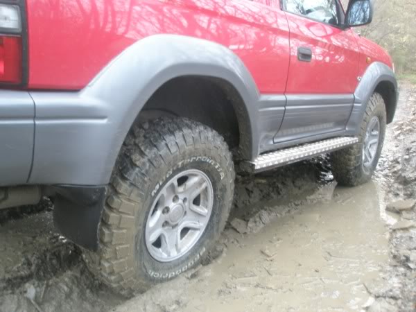 PA290774.jpg