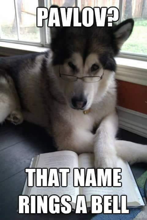 pavlov.jpg