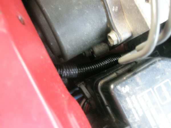 PB150070.jpg