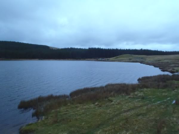 PC040125.jpg