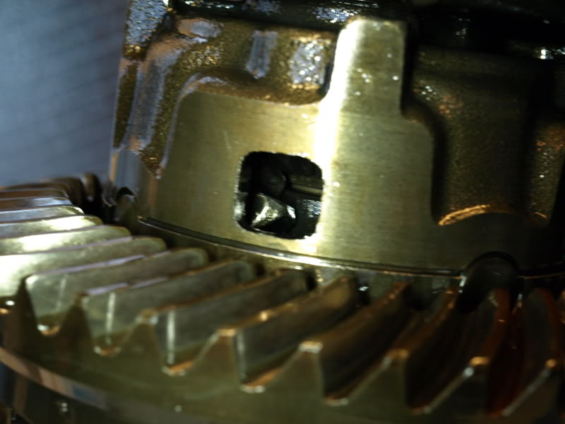 PC175345.jpg