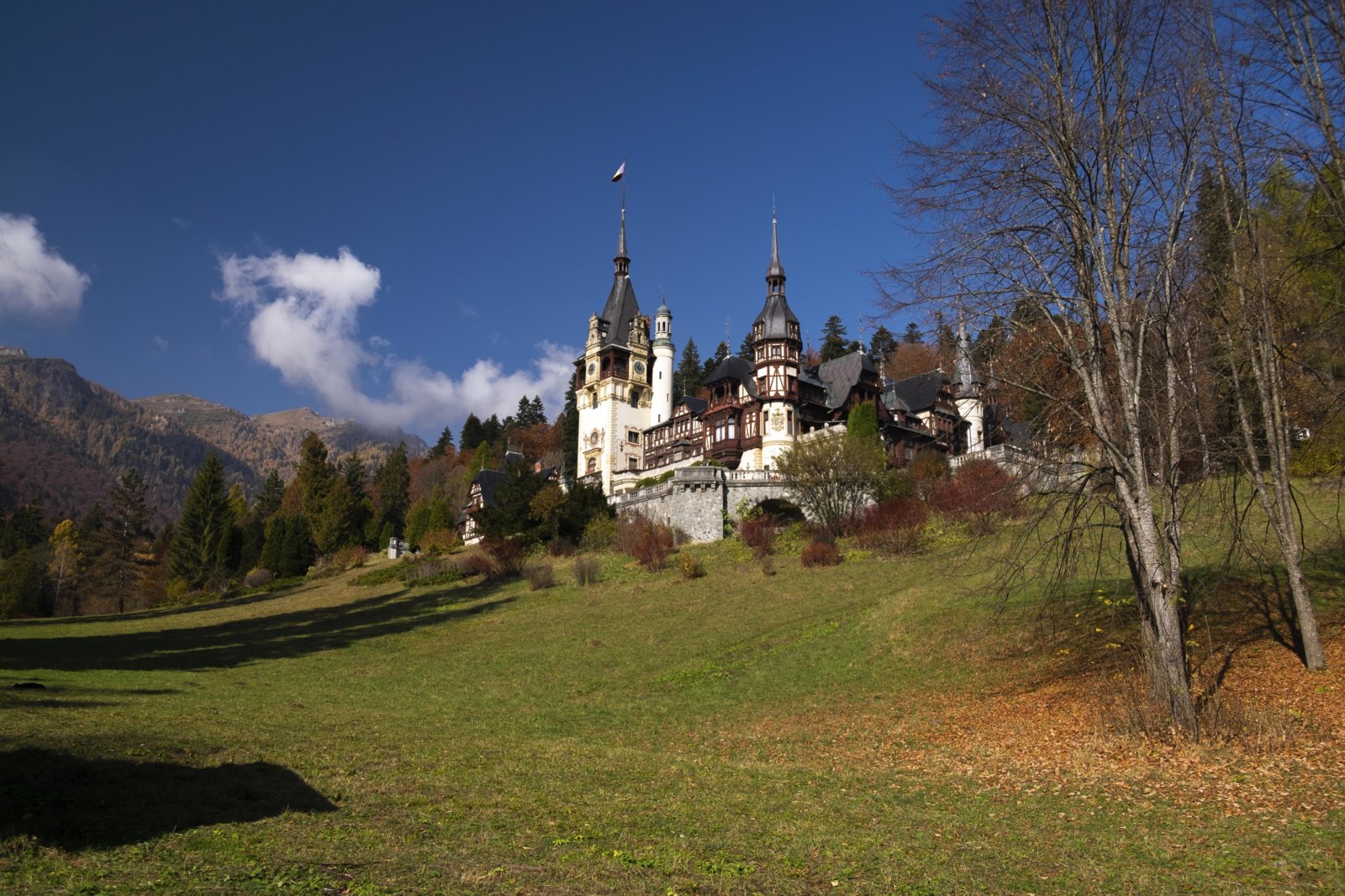 peles castle smaller.jpg