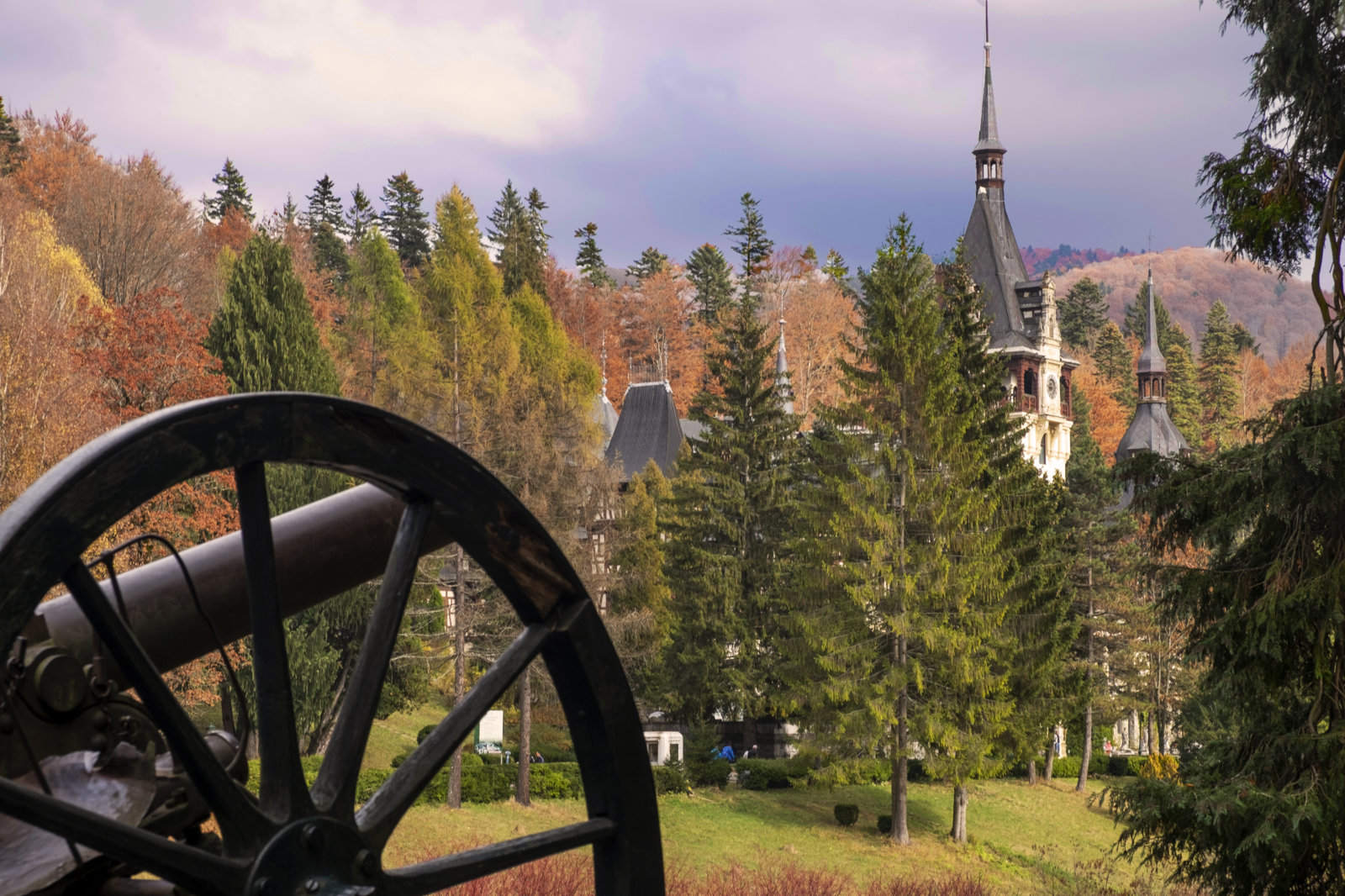 peles castle with gun.JPG