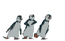 penguin-002.gif