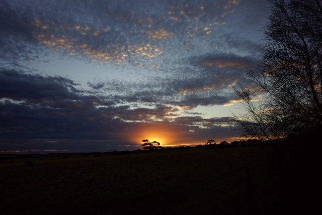 photo03 Sunset.JPG