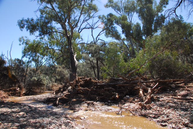 photo19-Natures flood barrier.JPG