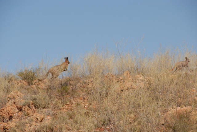 photo20.JPG