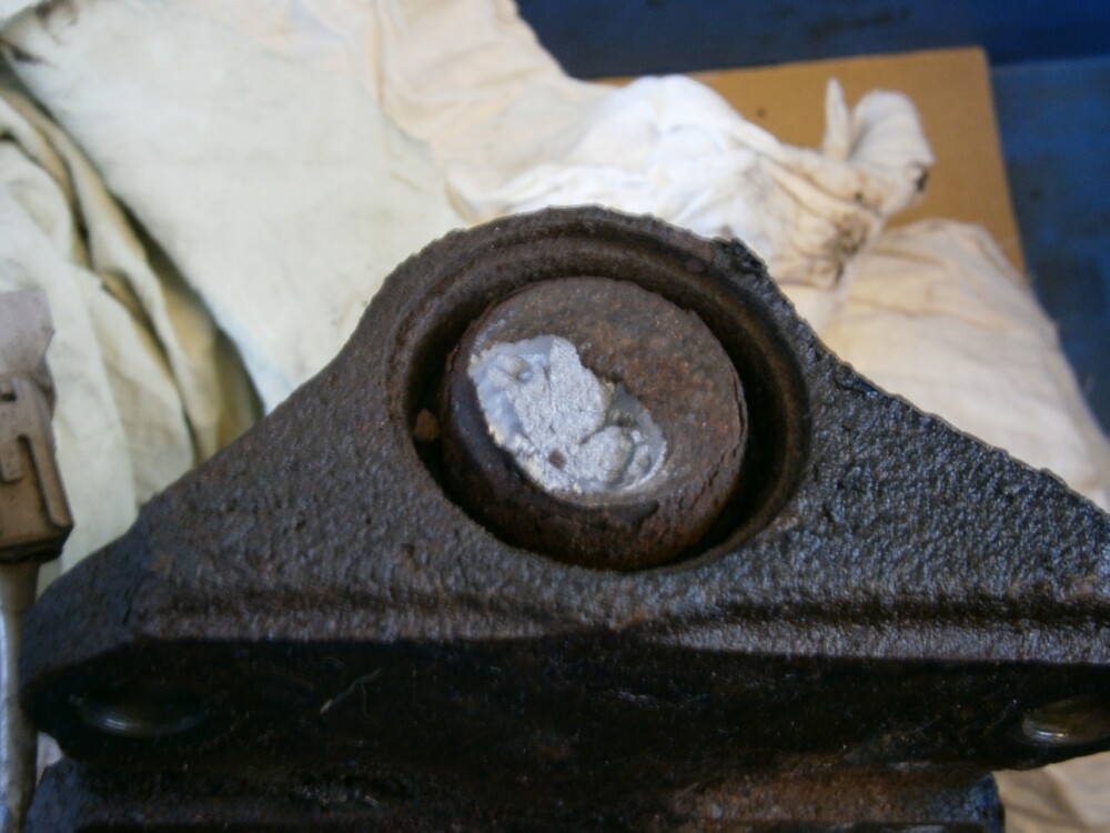 pic1.jpg