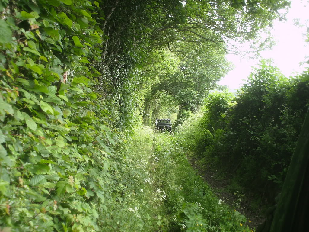 PICT0007.jpg