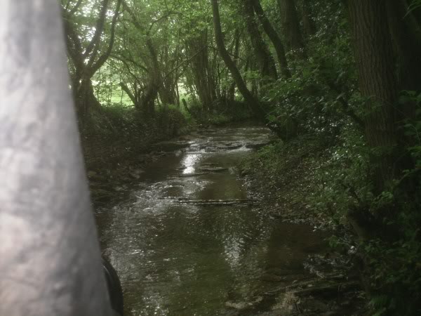 PICT0012.jpg