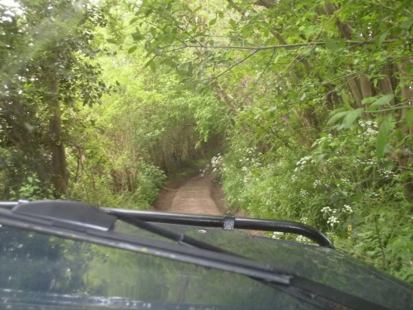 PICT0015.jpg