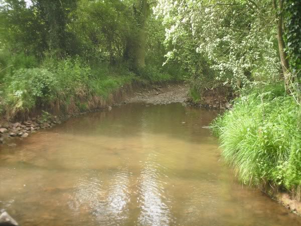 PICT0020.jpg