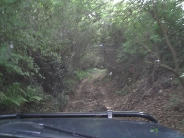 PICT0024.jpg