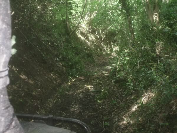PICT0046.jpg