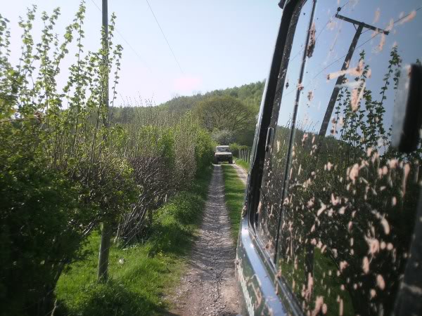 PICT0047.jpg