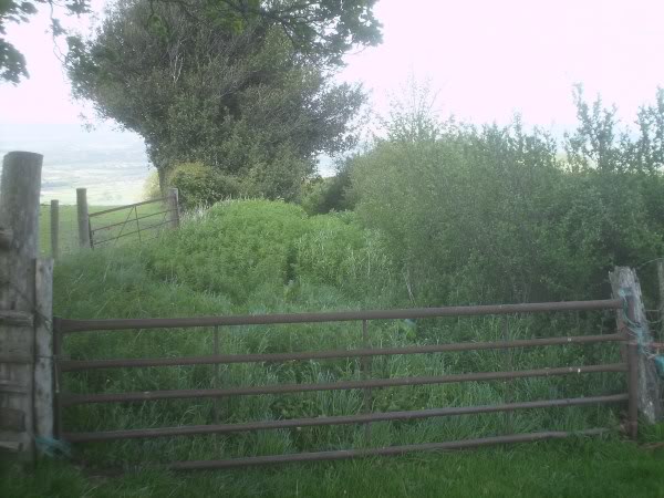 PICT0051.jpg