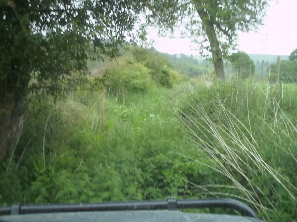 PICT0057.jpg