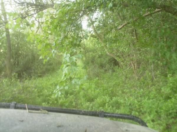PICT0058.jpg