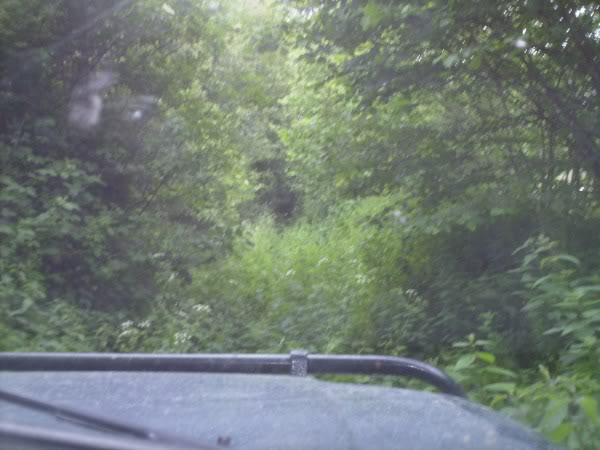 PICT0061.jpg