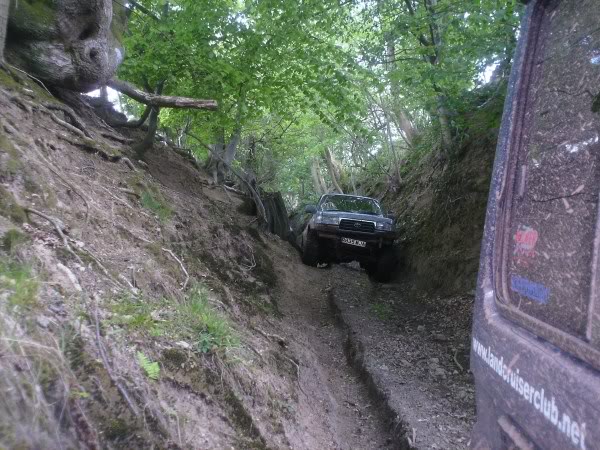 PICT0098.jpg