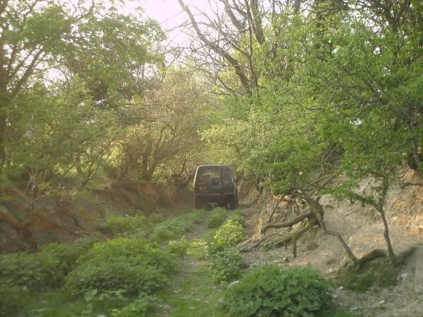 PICT0114.jpg