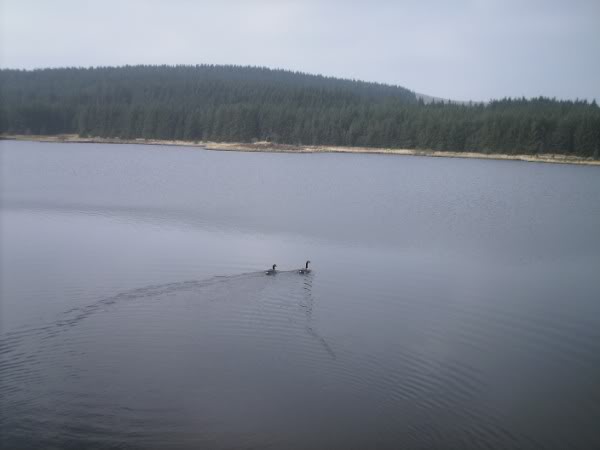 PICT0211.jpg
