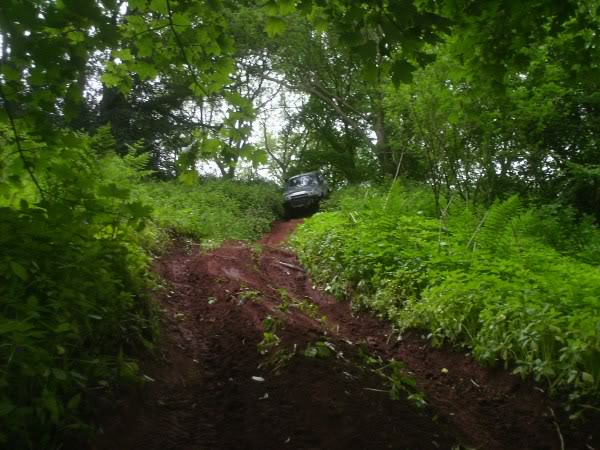 PICT0231.jpg