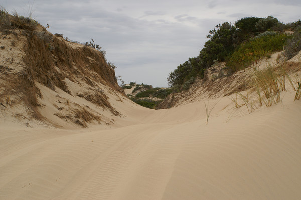 PICT5784-M.jpg