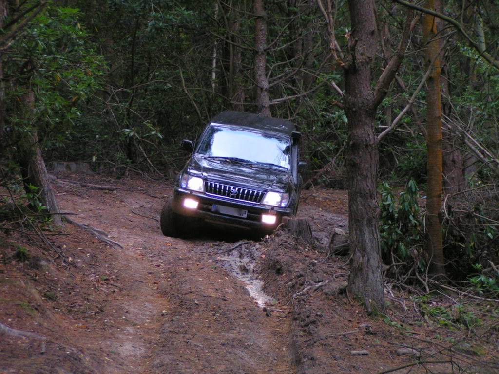 PICT6338-1.jpg