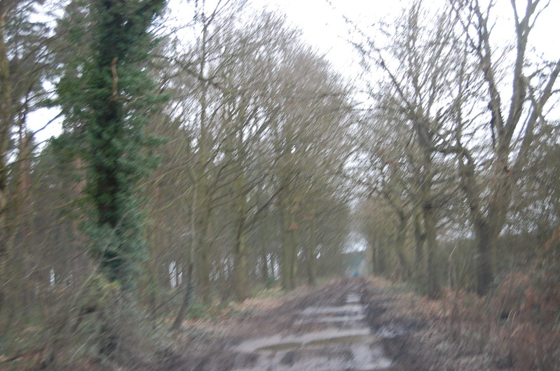 Picture033.jpg