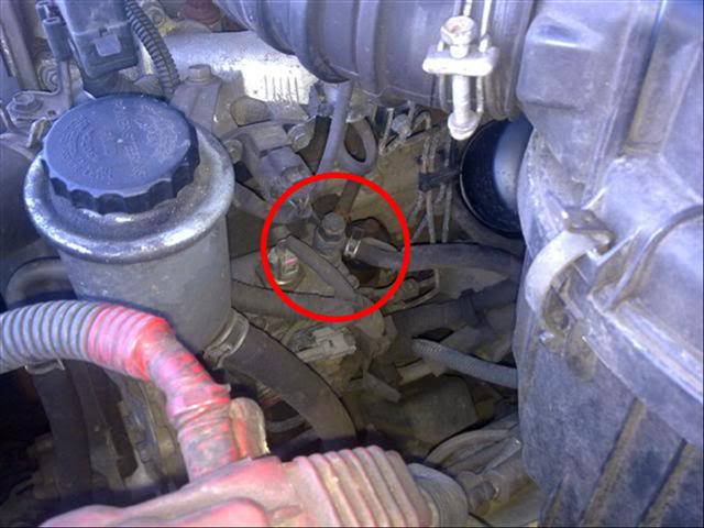Picture2Small.jpg