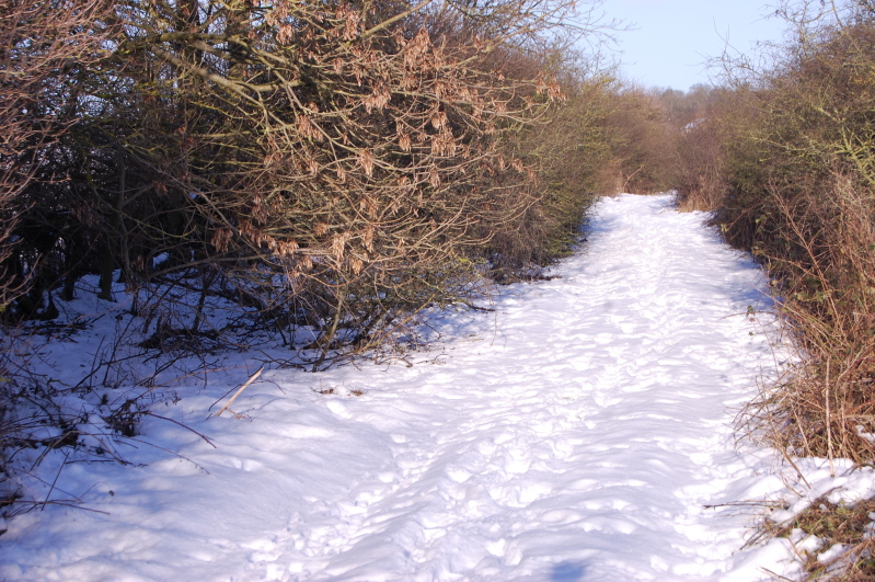 Picture366.jpg