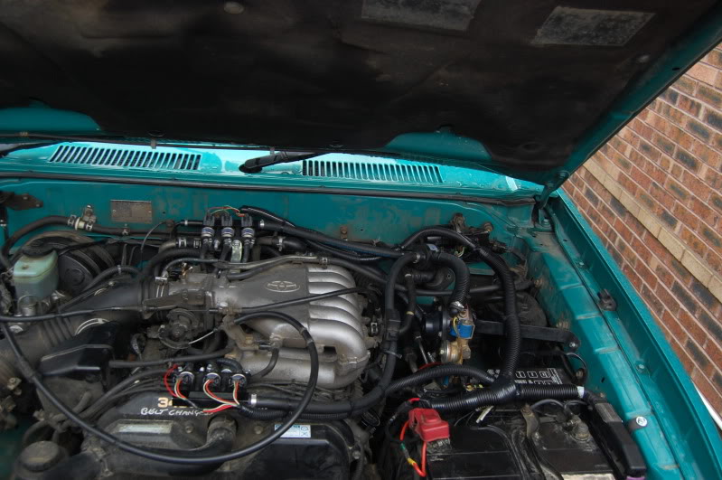 Picture836.jpg