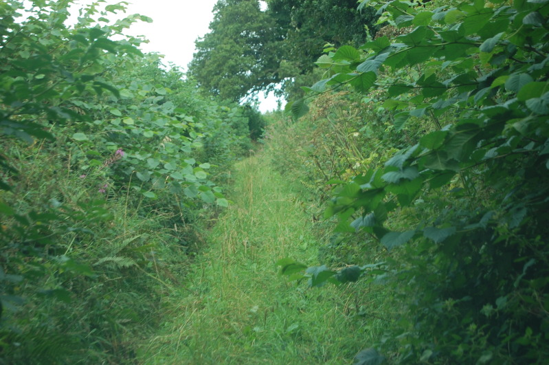 Picture915.jpg