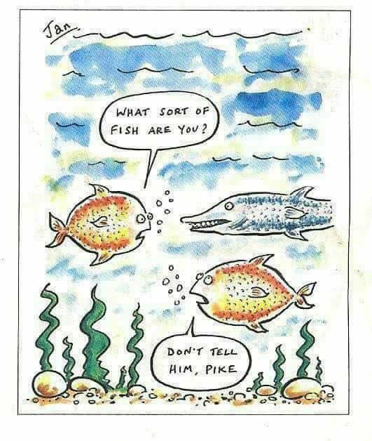 pike.jpg