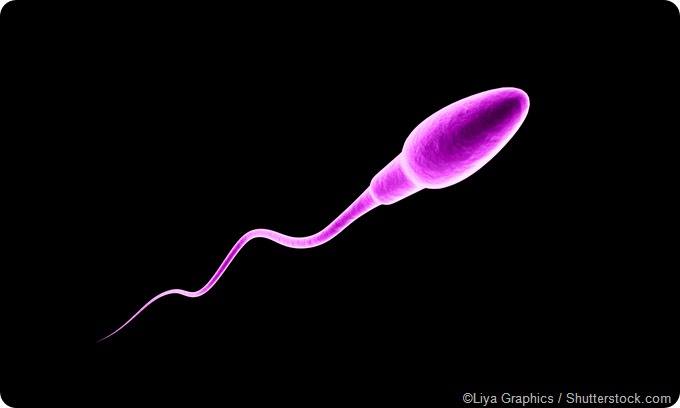 police have released a picture of what she may look like now.jpg