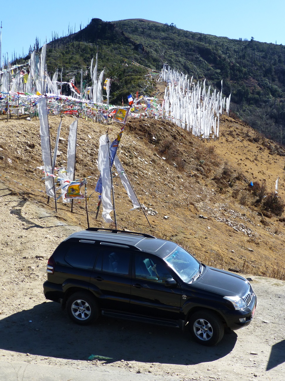Prayer Flags.JPG