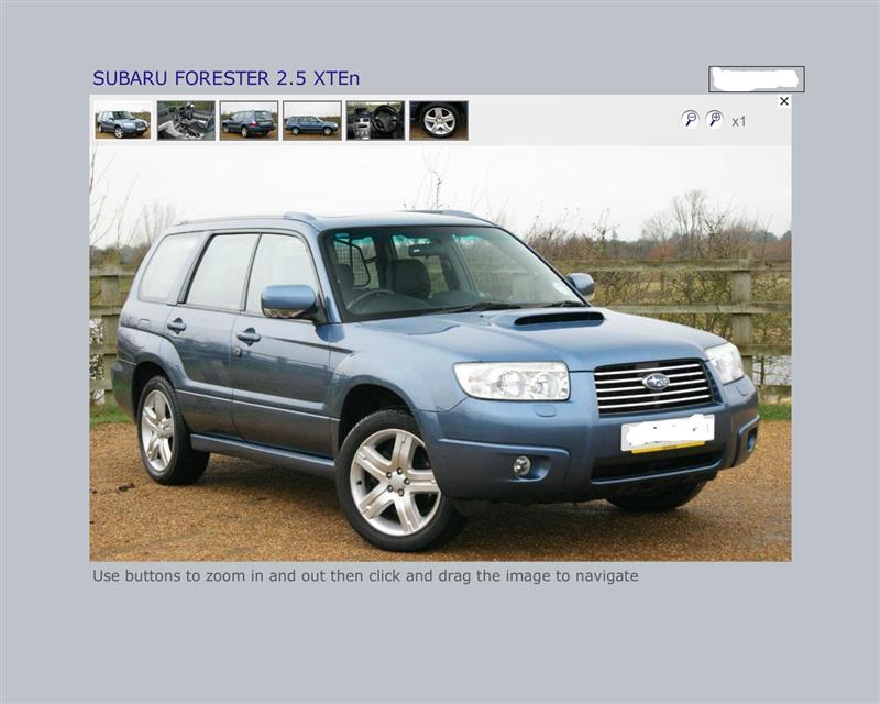 py582 (Medium).JPG